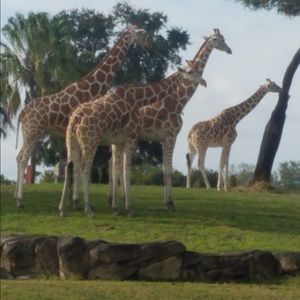 Meet your Posher, Eileen